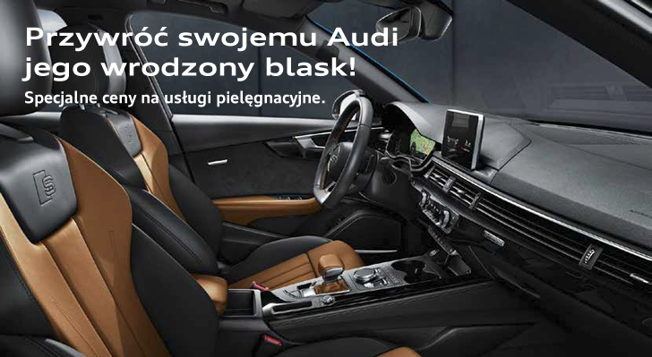 pielęgnacja twojego audi w serwisie audi poznan